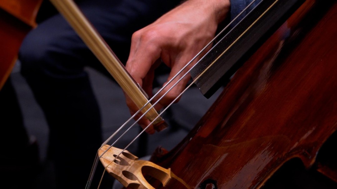 Les musiciens de l'Orchestre de l'Opéra