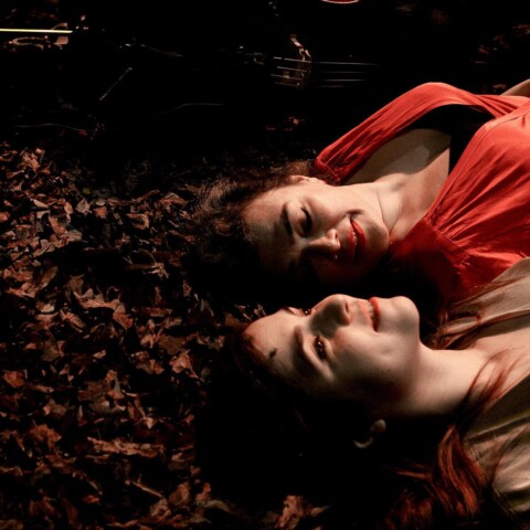 Birds on a Wire — Dom La Nena & Rosemary Stanley