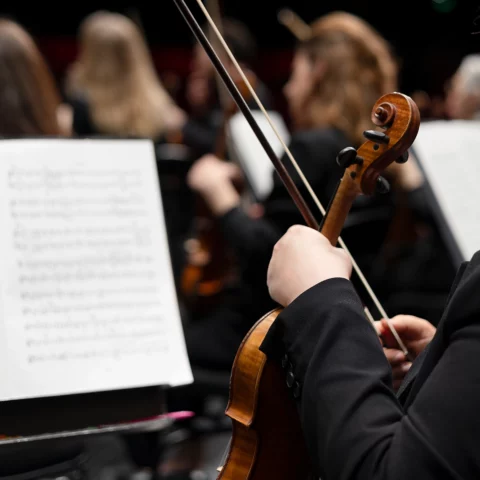 Dans les pas de Mozart