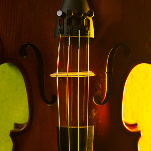 Musiciens de l’Orchestre