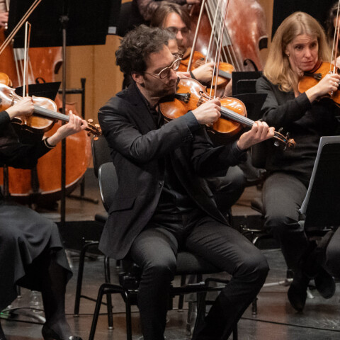 Note gourmande #5 — La ronde des violons